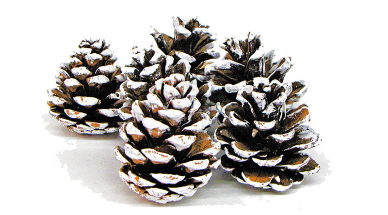 Wreaths and Sticks™ - Frosted Cones